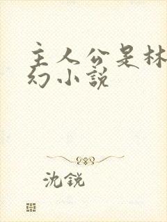 主人公是林天玄幻小说