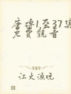 唐砖1至37集免费观看