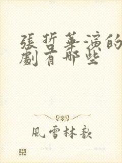 张哲华演的电视剧有哪些