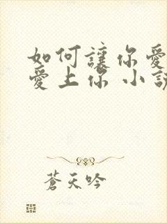 如何让你爱的人爱上你 小说