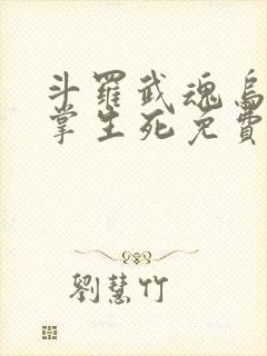 斗罗武魂乌鸦执掌生死免费阅读