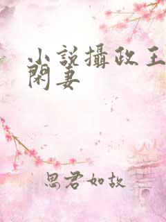 小说摄政王的小闲妻