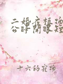 二婚夜植物人老公睁开眼短剧在线观看