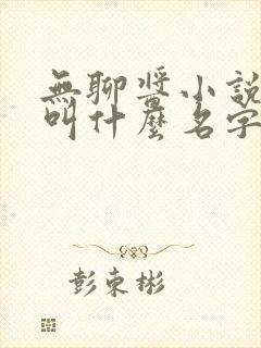 无聊酱小说原著叫什么名字来着