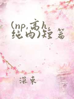 (np,高h,纯肉)短篇