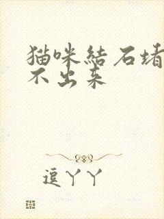 猫咪结石堵住尿不出来