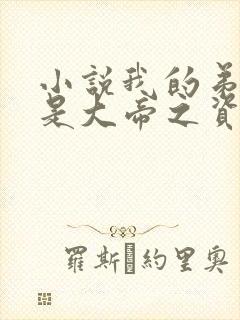 小说我的弟子全是大帝之资免费看