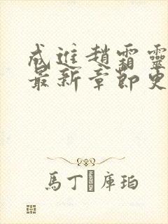 成进赵霜灵小说最新章节更新