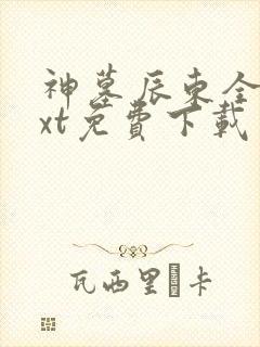 神墓辰东全本txt免费下载