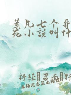 叶凡七个哥哥战死小说叫什么名字