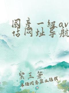 国产一级av网站网址导航