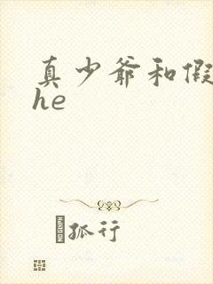 真少爷和假少爷he