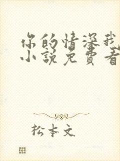 你的情深我不配小说免费看