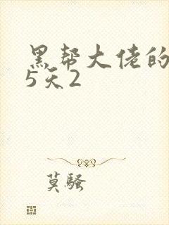 黑帮大佬的365天2