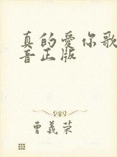 真的爱你歌词谐音正版