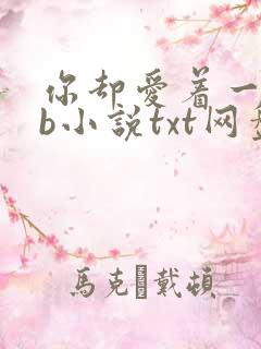 你却爱着一个sb小说txt网盘