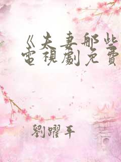 《夫妻那些事》电视剧免费观看