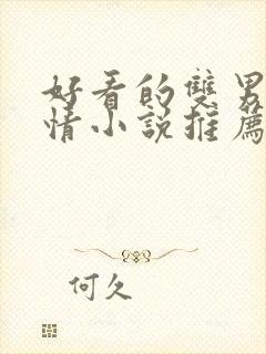 好看的双男主言情小说推荐