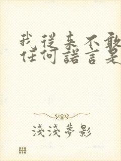 我从来不敢对你任何诺言是什么歌