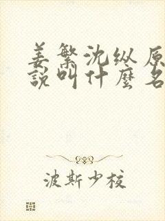 姜繁沈纵原著小说叫什么名字