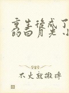 重生后成了皇帝的白月光 小说