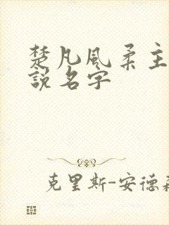 楚凡风柔主角小说名字
