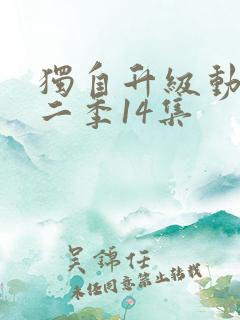 独自升级动漫第二季14集