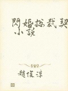 闪婚总裁契约妻 小说