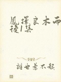 凤择良木而栖最后1集