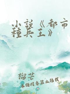 小说《都市之特种兵王》