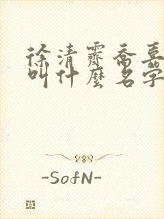 徐清霁乔嘉小说叫什么名字