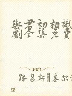 与君初相识电视剧全集免费西瓜