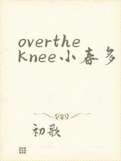 overtheknee小春多梦阅读笔趣阁
