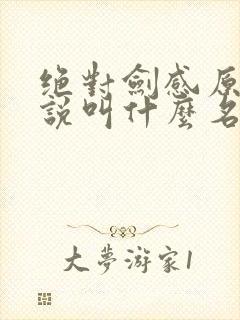 绝对剑感原著小说叫什么名字