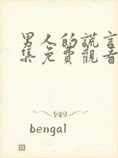 男人的谎言40集免费观看