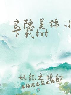 良陈美锦 小说下载txt