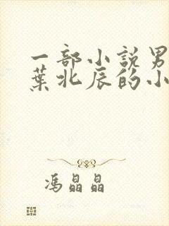 一部小说男主叫叶北辰的小说