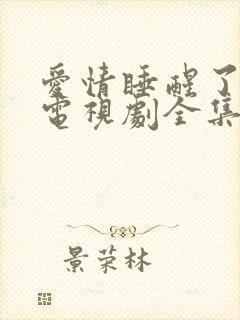 爱情睡醒了高清电视剧全集在线观看