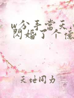 w分手当天,我闪婚了个亿万富翁》