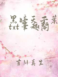 黑暗天子叶凌天txt笔趣阁