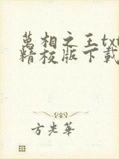 万相之王txt精校版下载