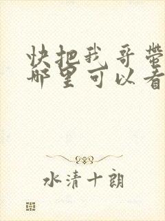 快把我哥带走在哪里可以看