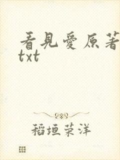 看见爱原著小说txt