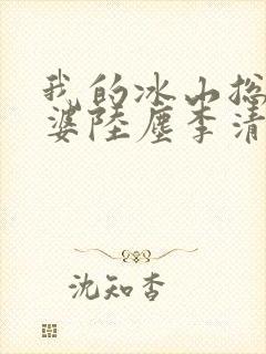 我的冰山总裁老婆陆尘李清瑶