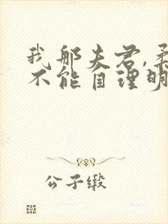 我那夫君,柔弱不能自理明决