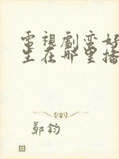 电视剧蛮好的人生在哪里播出