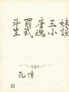 斗罗唐三妹妹双生武魂小说