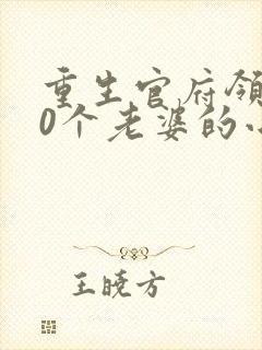 重生官府领了10个老婆的小说
