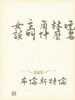 女主角林晚的小说叫什么名字