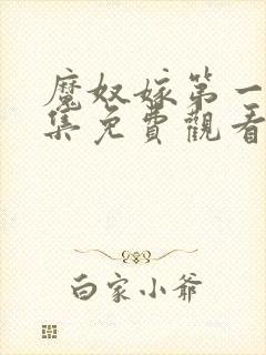 魔奴嫁第一季全集免费观看